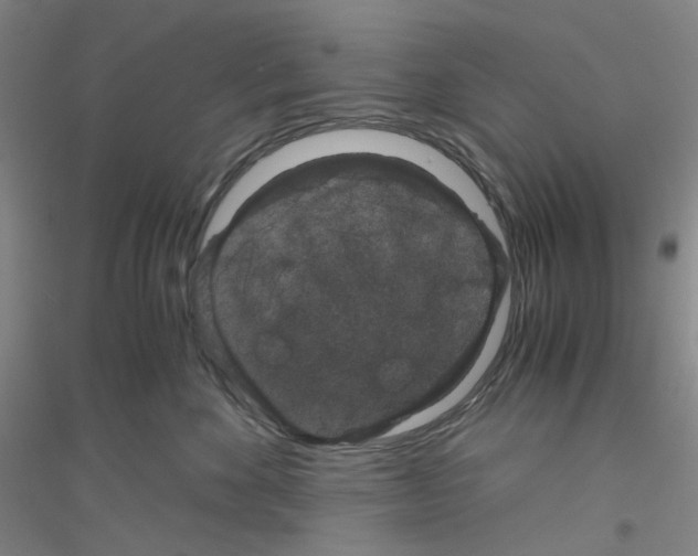 X0000116780524201001281657