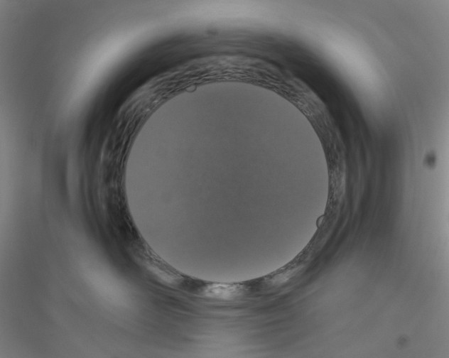 X0000116780526201001281656