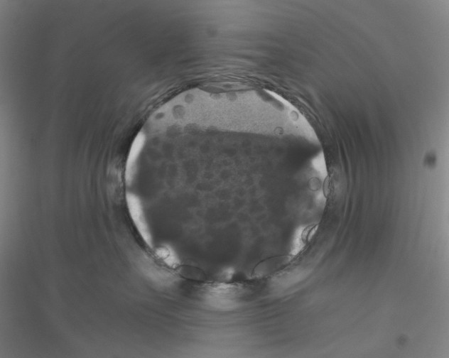 X0000116780527201001281656