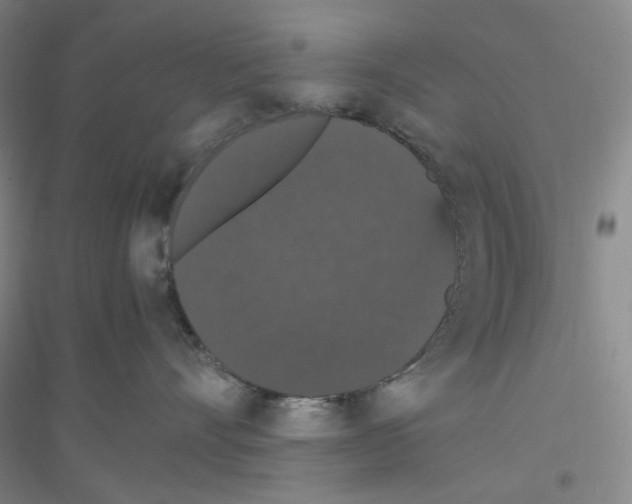 X0000116780528201001281656