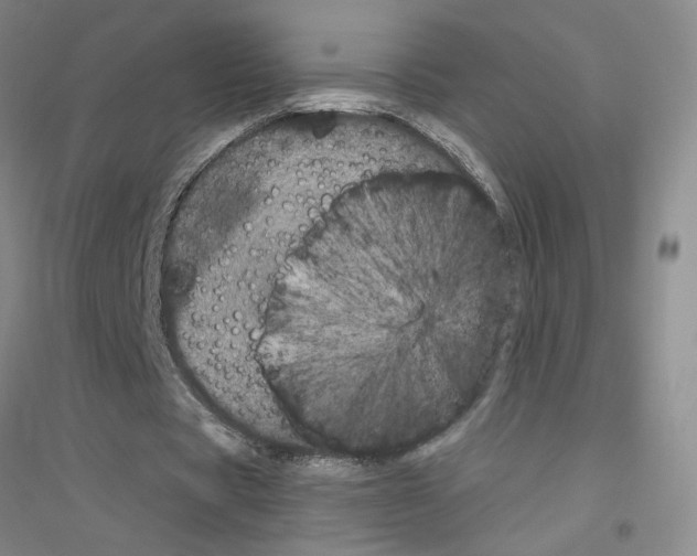 X0000116780529201001281656