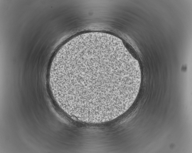 X0000116780530201001281656