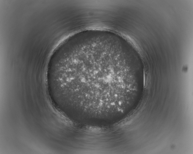 X0000116780531201001281656