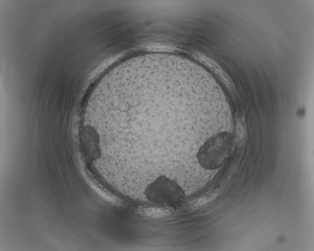 X0000116780533201001281656