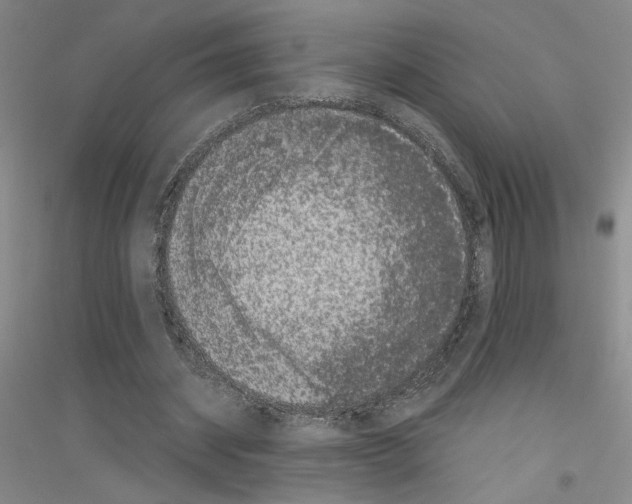 X0000116780534201001281656