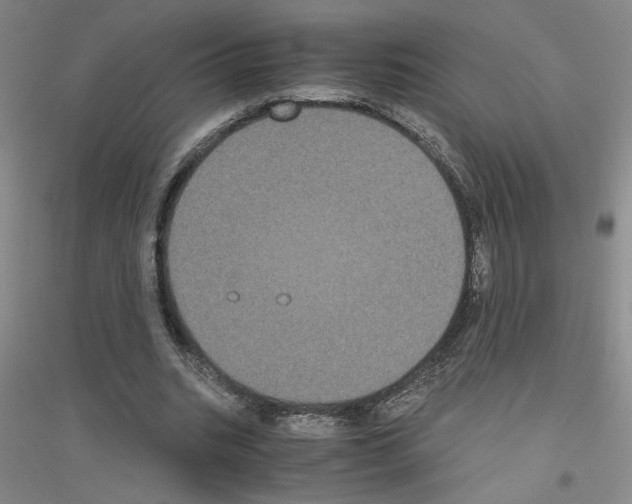 X0000116780535201001281656