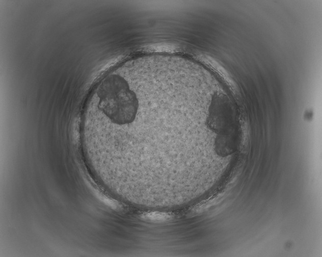 X0000116780537201001281656