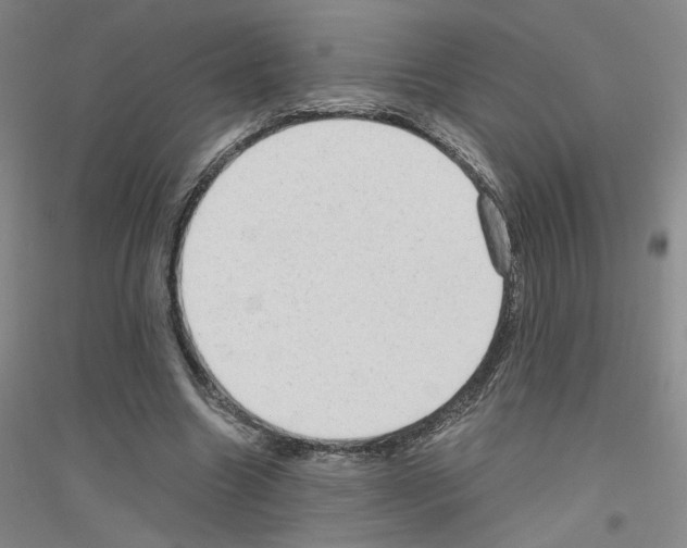 X0000116780538201001281656