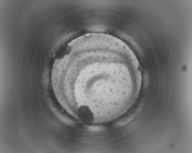 X0000116780541201001281656