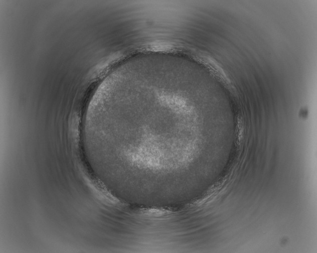 X0000116780542201001281656