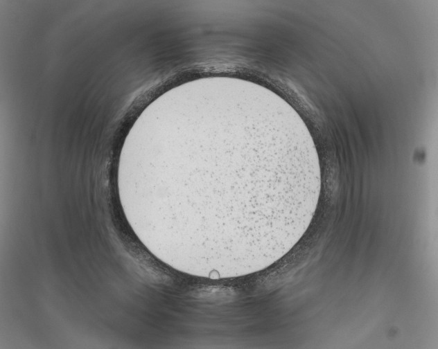 X0000116780543201001281656