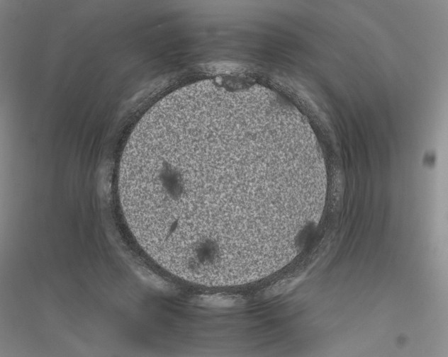 X0000116780545201001281656