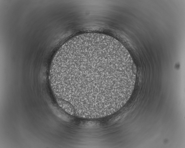 X0000116780546201001281656