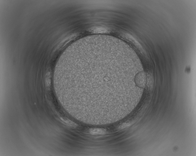 X0000116780549201001281656