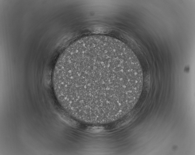 X0000116780554201001281656