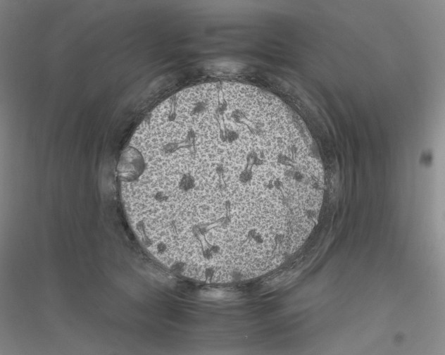 X0000116780561201001281656