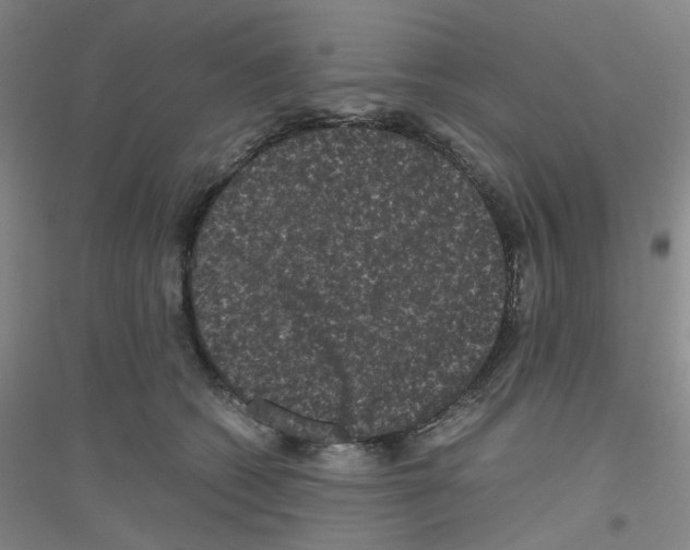 X0000116780562201001281656