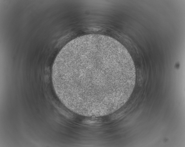 X0000116780563201001281656