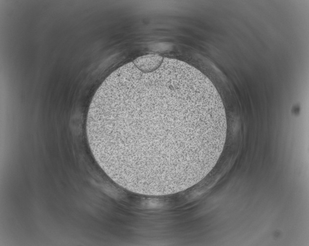 X0000116780565201001281656