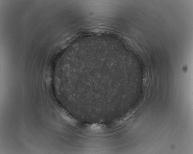 X0000116780566201001281656