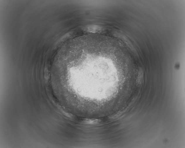 X0000116780569201001281656