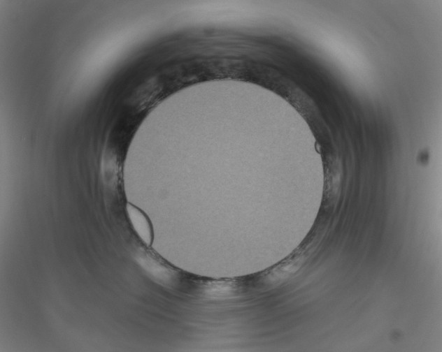 X0000116780574201001281656