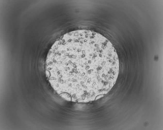 X0000116780575201001281656