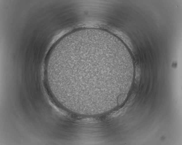 X0000116780578201001281656