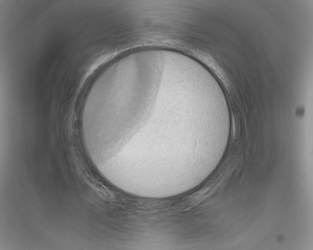 X0000116780579201001281656