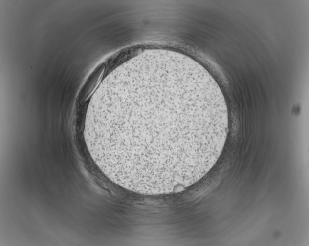 X0000116780580201001281656