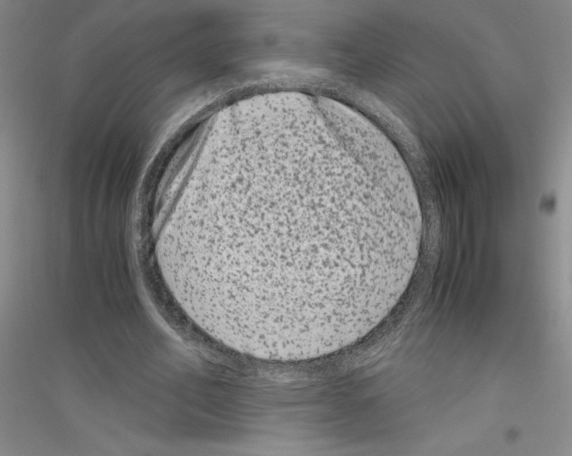 X0000116780582201001281656