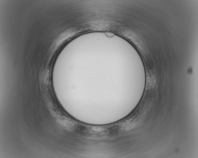 X0000116780583201001281656