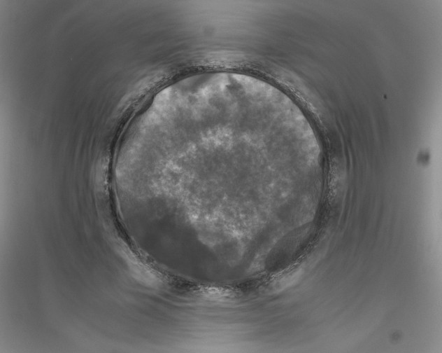 X0000116780585201001281656