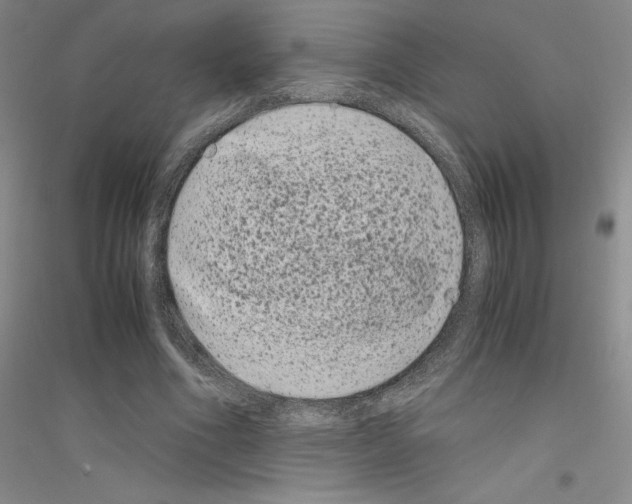 X0000116780586201001281656