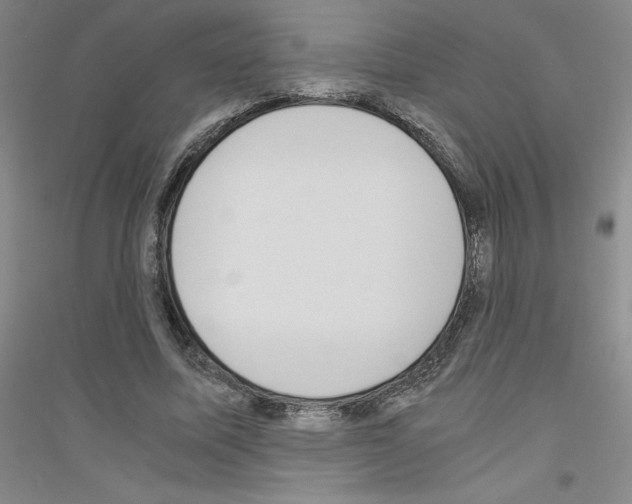 X0000116780587201001281656