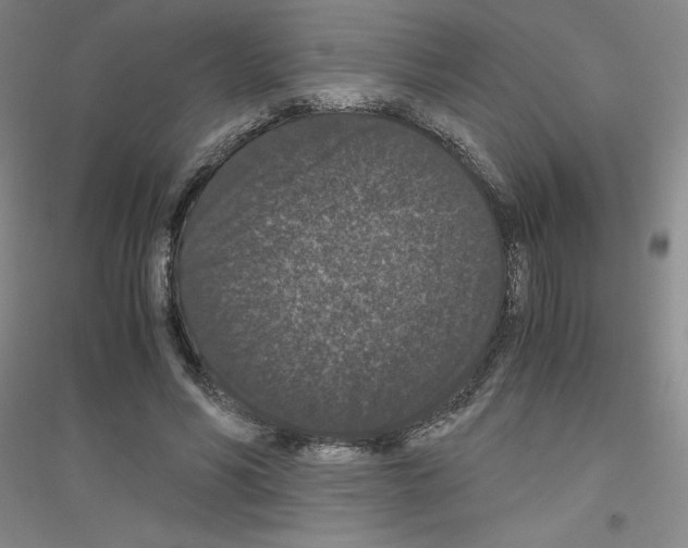 X0000116780590201001281656