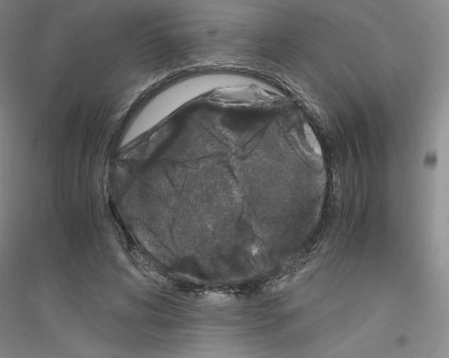 X0000116780592201001281656