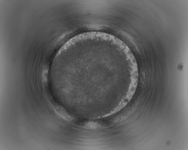 X0000116780596201001281656