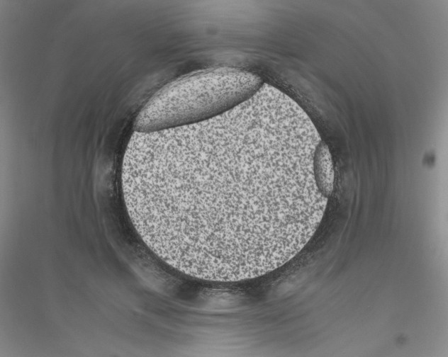 X0000116780597201001281656