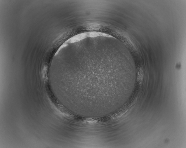 X0000116780598201001281655