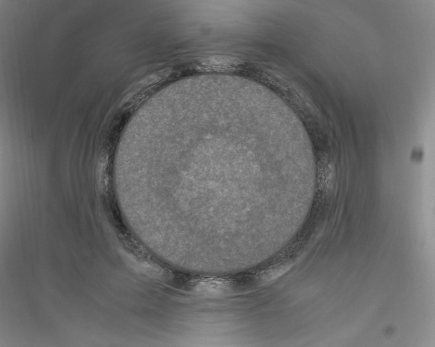 X0000116780599201001281655