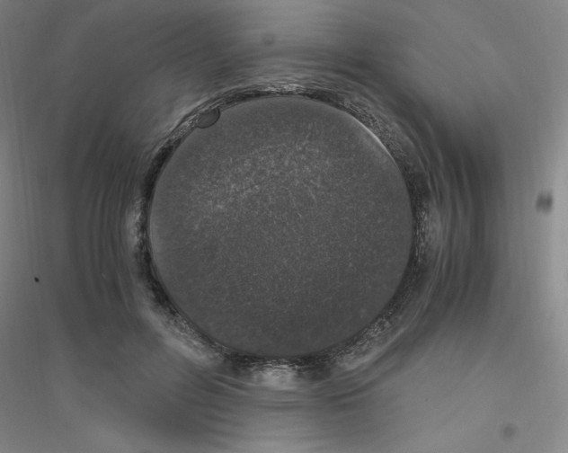 X0000116780600201001281655