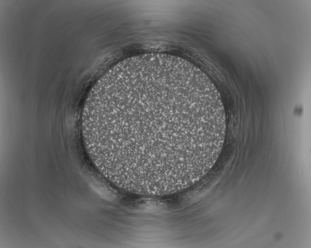 X0000116780601201001281655