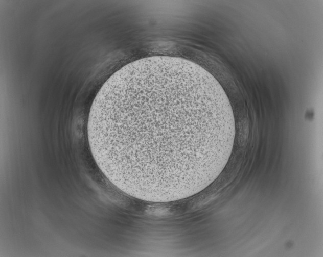 X0000116780602201001281655