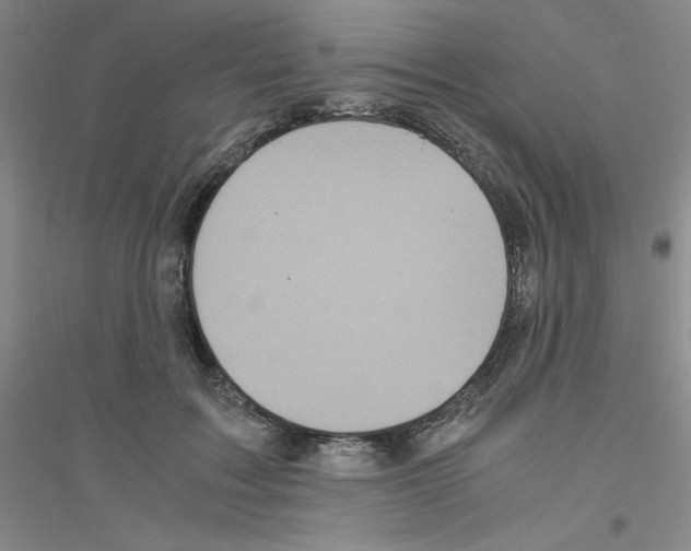 X0000116780603201001281655