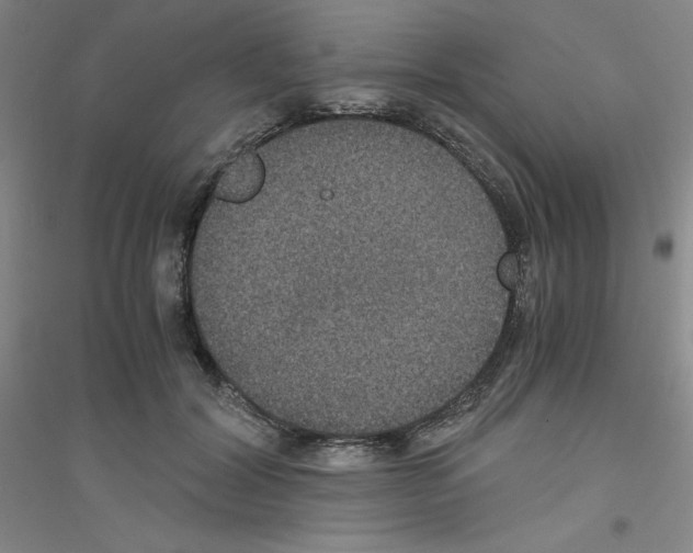 X0000116780604201001281655