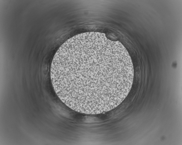 X0000116780605201001281655