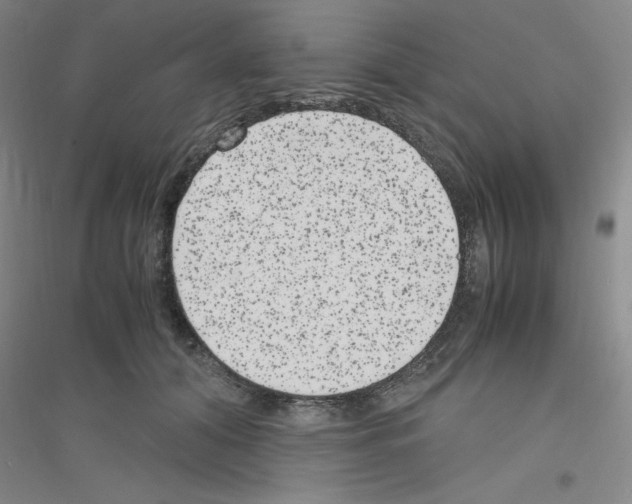 X0000116780608201001281655