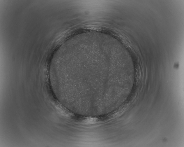 X0000116780609201001281655