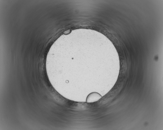 X0000116780612201001281655